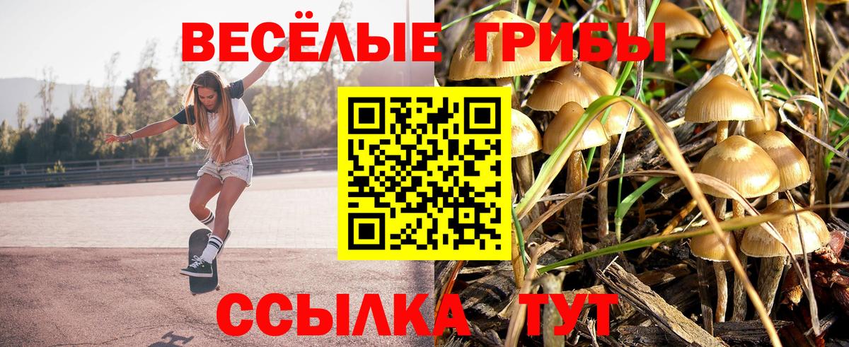 хочу наркоту  Галлюциногенные грибы Psilocybe  Псилоцибиновые грибы Psilocybe  Вход с VPN  Мегион 